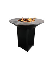 Barbacoa de leña Purline EFP56B
