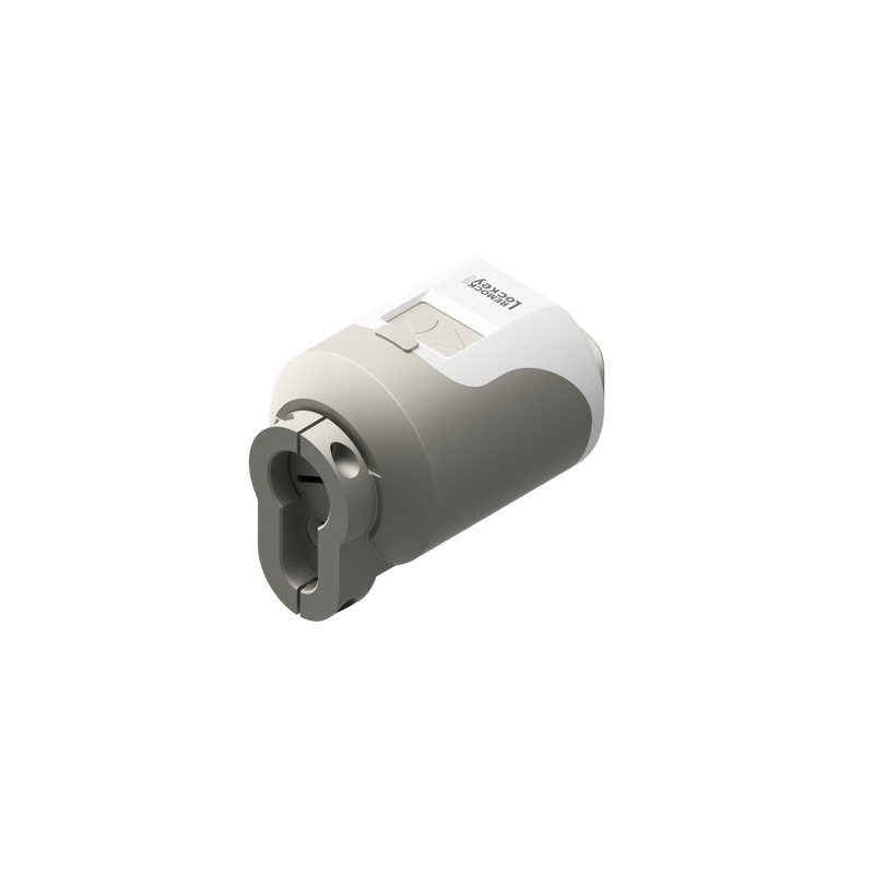 Cerradura Inteligente Remock Magic