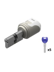 Cerradura inteligente Remock Magic con cilindro Níquel