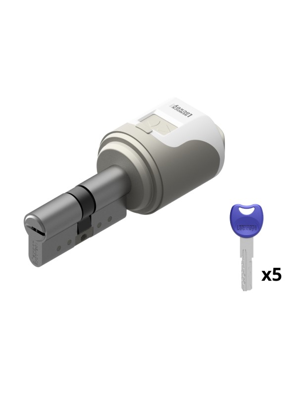 Cerradura inteligente Remock Magic con cilindro Níquel